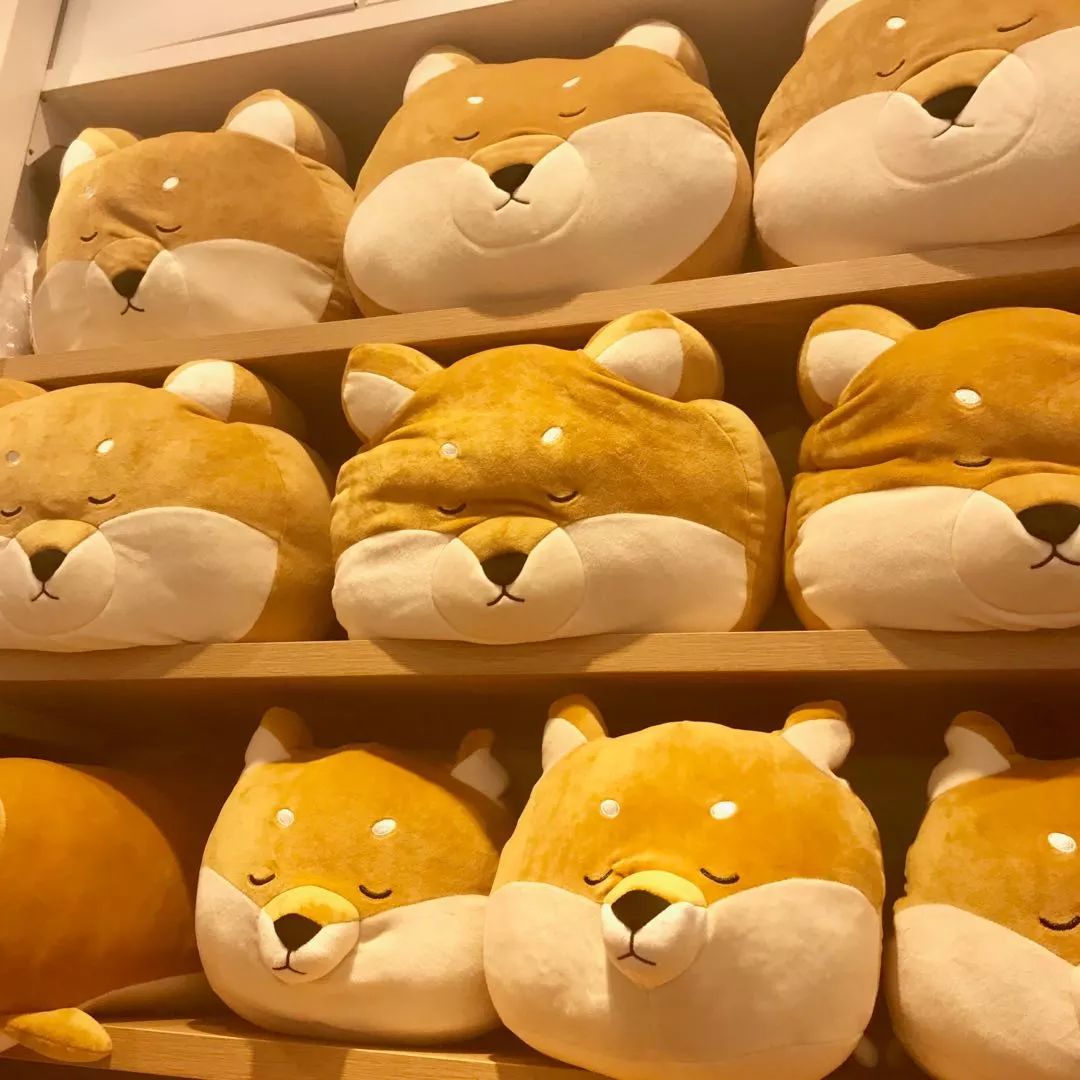 不止MUJI,逛遍成都这些单品店,发现每一家都在抢钱!