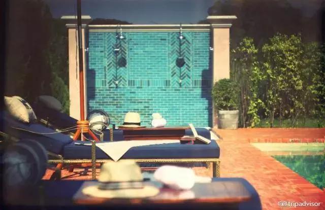 猫头鹰酒店排名,猫头鹰十大排名