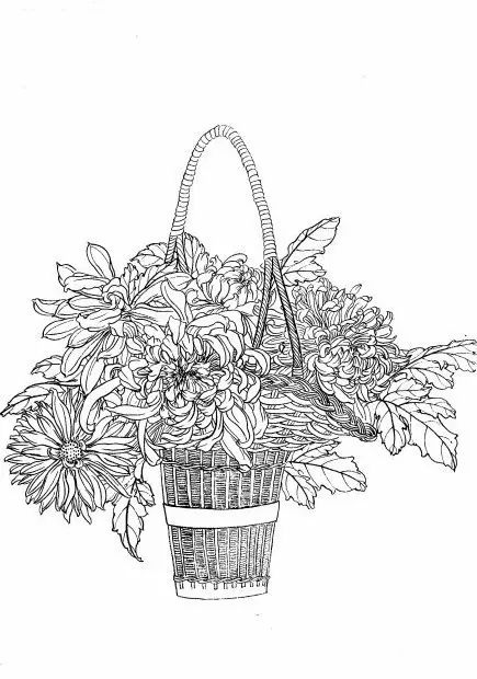 教你一步一步勾勒白描菊花,国画菊花勾线白描怎么画