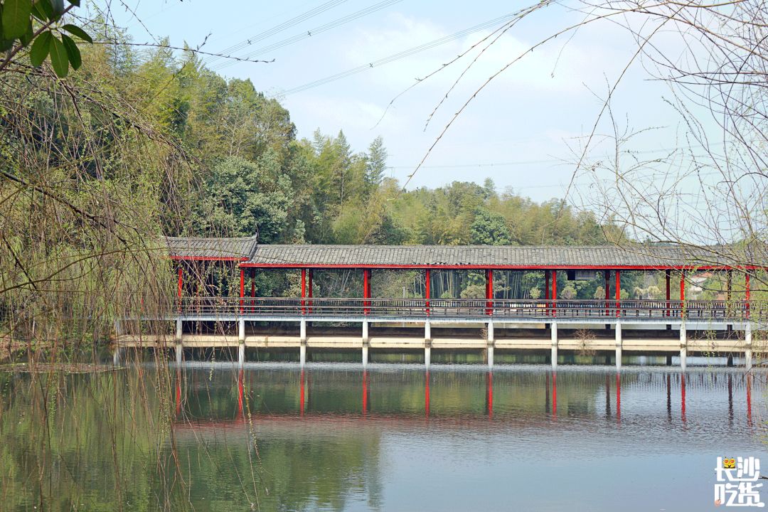 湖南信息学院为什么不出名,湖南信息学院水平怎么样