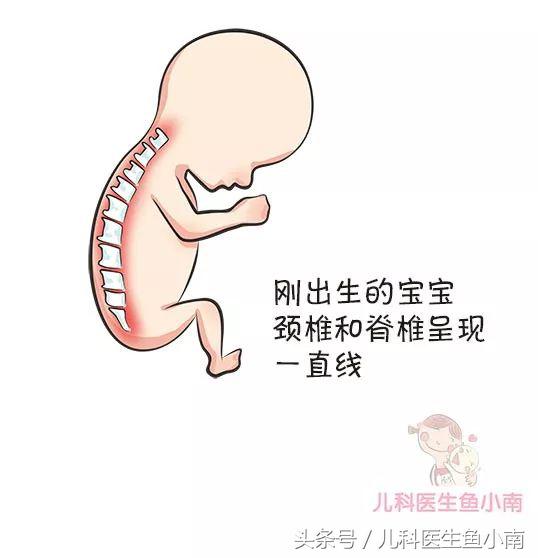 宝宝多大可以用有高度的枕头,宝宝多大可以用枕头枕着