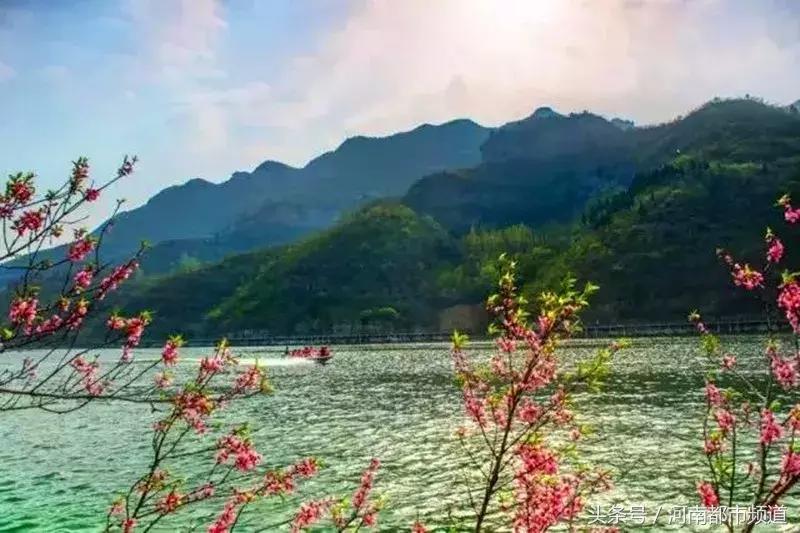 河南最美桃花海,浪漫西藏林芝桃花有多惊艳