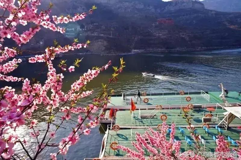 河南最美桃花海,浪漫西藏林芝桃花有多惊艳