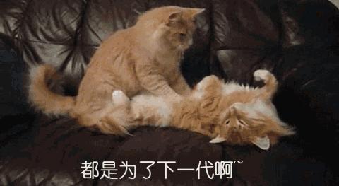 深圳生小孩检查费用报销,深圳生孩子生育险报销比例