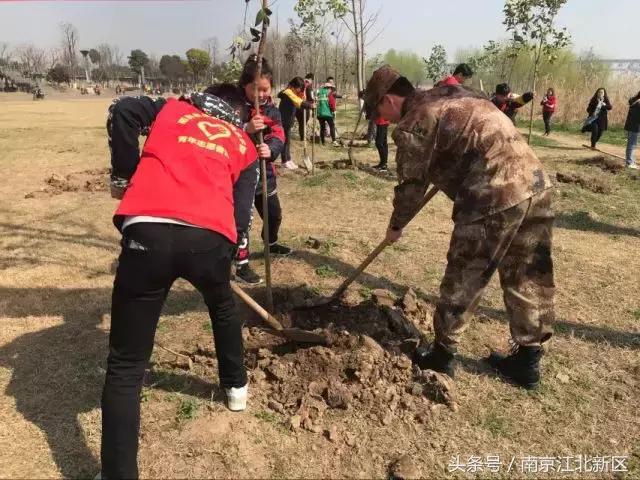 种下一粒种子守护一片绿色,种下一棵树守护一片绿