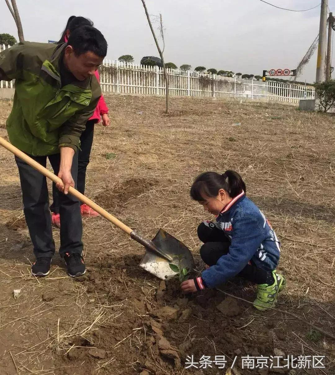 种下一粒种子守护一片绿色,种下一棵树守护一片绿