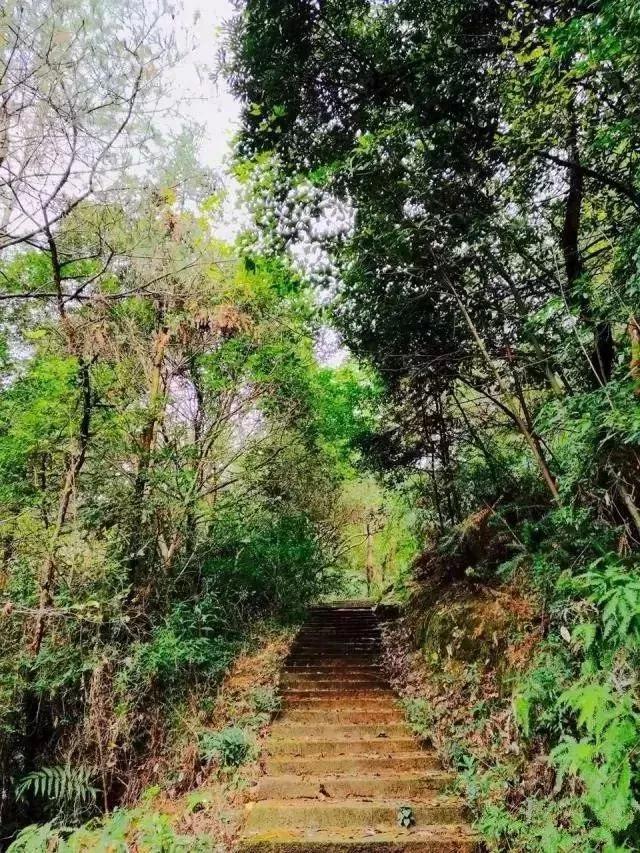 乐清十大古村落,乐清市未开发的古村落