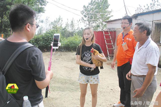 最有潜力的8大农村创业项目推荐,适合穷人的18个创业加盟项目农村