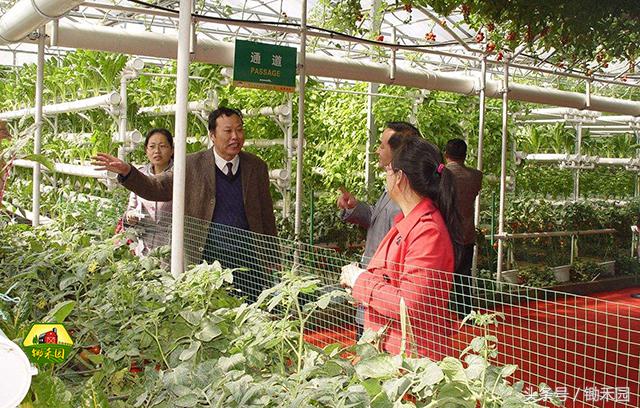 最有潜力的8大农村创业项目推荐,适合穷人的18个创业加盟项目农村