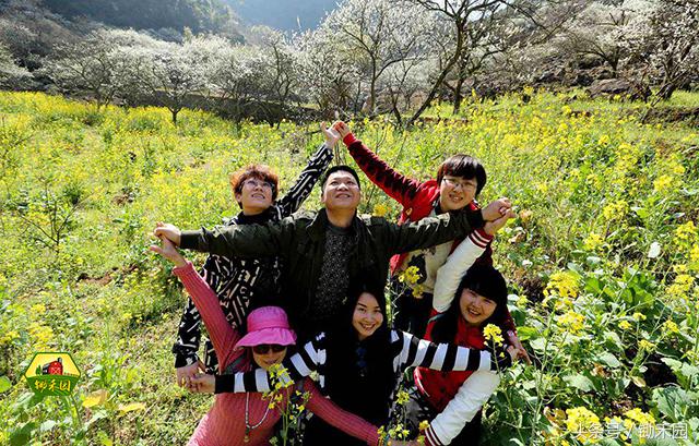 最有潜力的8大农村创业项目推荐,适合穷人的18个创业加盟项目农村