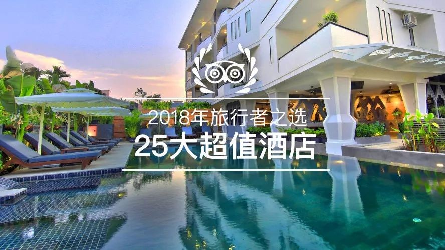 猫头鹰酒店排名,猫头鹰十大排名