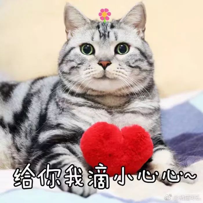 平价好物的化妆品,种草好物集中营