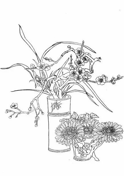 教你一步一步勾勒白描菊花,国画菊花勾线白描怎么画