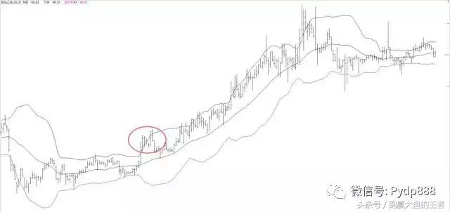 干货知识股票,期货高手干货boll指标