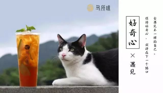 “乌所味”茶饮让宜兴人无所畏惧!1块钱得饮品,全场6折约不约?