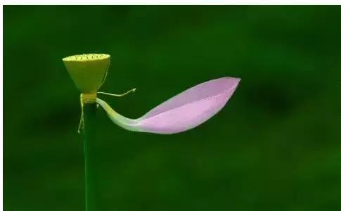 人这一生要经历各种诱惑,人这一生顶级的自律