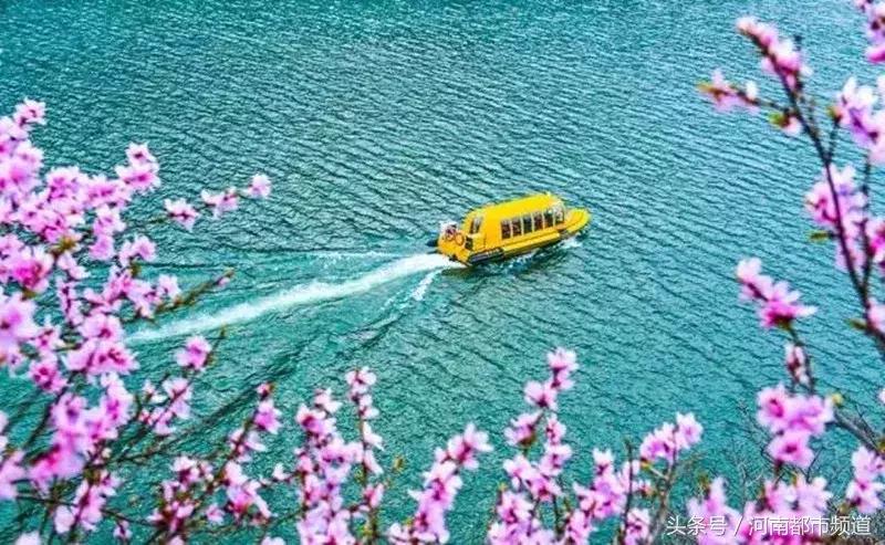 河南最美桃花海,浪漫西藏林芝桃花有多惊艳