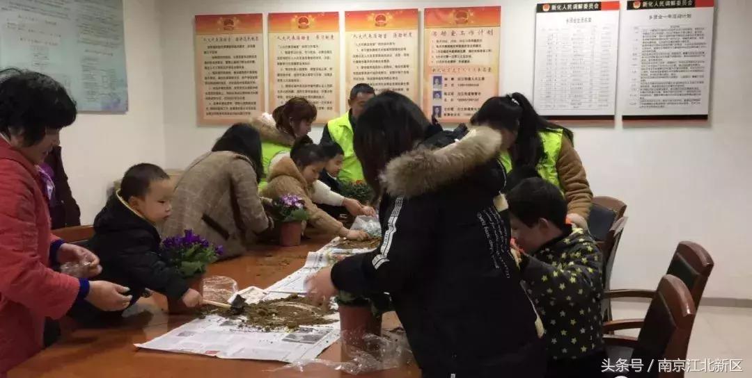 种下一粒种子守护一片绿色,种下一棵树守护一片绿