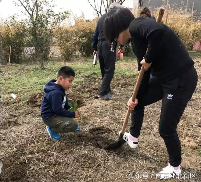 种下一粒种子守护一片绿色,种下一棵树守护一片绿