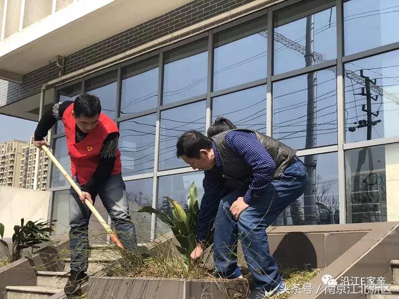 种下一粒种子守护一片绿色,种下一棵树守护一片绿