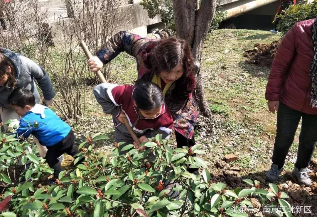 种下一粒种子守护一片绿色,种下一棵树守护一片绿