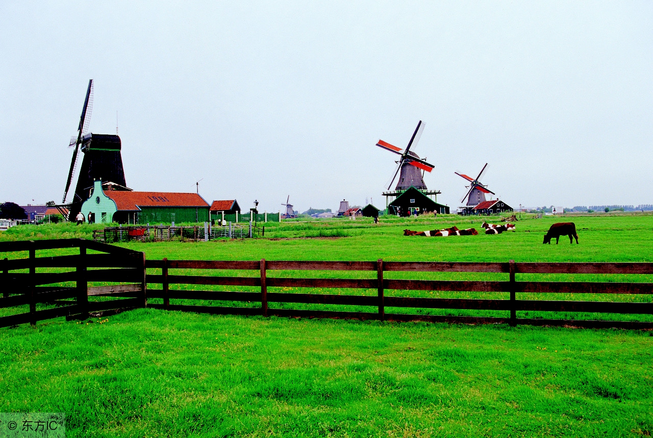 城里人往乡里跑,现在城里人都往农村跑啥意思