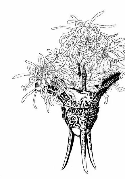 教你一步一步勾勒白描菊花,国画菊花勾线白描怎么画