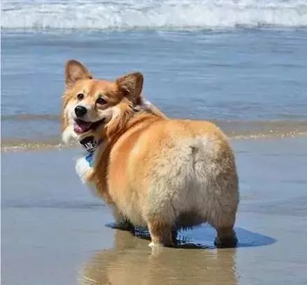 千万不要说会骂人的英语,英语骂人的几种说法