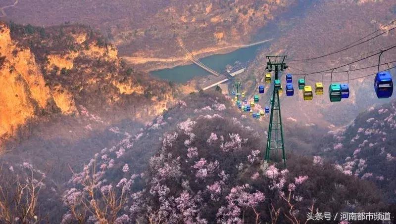 河南最美桃花海,浪漫西藏林芝桃花有多惊艳