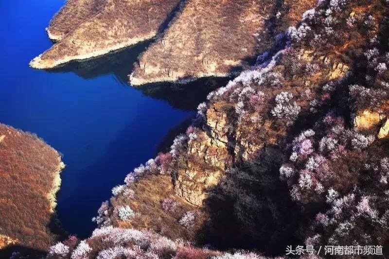 河南最美桃花海,浪漫西藏林芝桃花有多惊艳