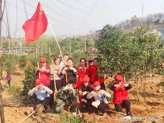 种下一粒种子守护一片绿色,种下一棵树守护一片绿