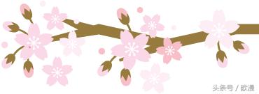 滑头鬼之孙樱花合集,滑头鬼之孙介绍