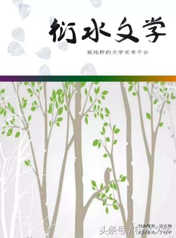 衍水小说大全,衍水小说大全免费阅读