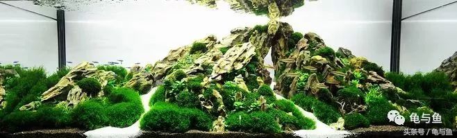 鱼缸水质测试纸正常值对照表,水族用盐用量计算