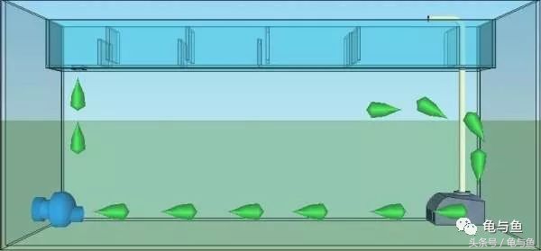 造流泵内部结构,造浪泵哪个牌子好用