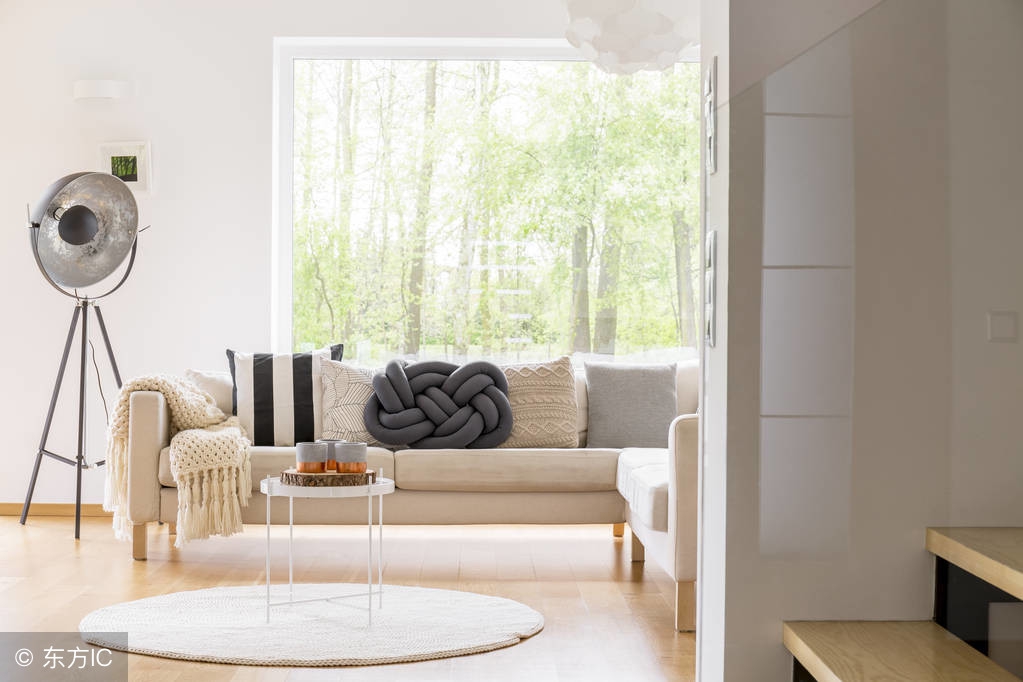 地毯会不会有绒毛,地毯会长什么虫