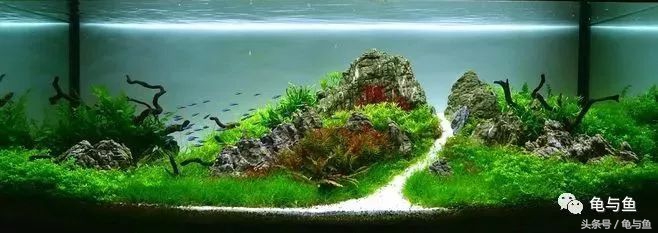 鱼缸水质测试纸正常值对照表,水族用盐用量计算