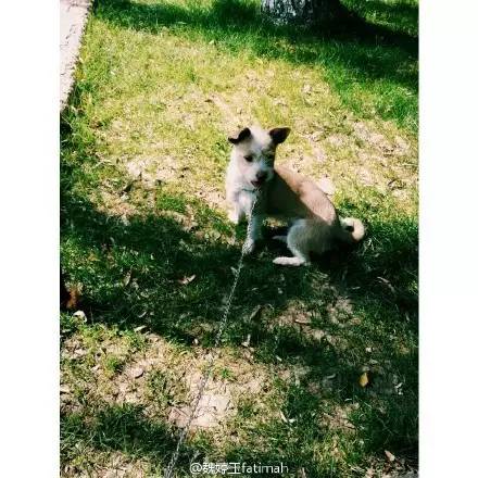 走到流浪的尽头，落入你的温暖怀抱