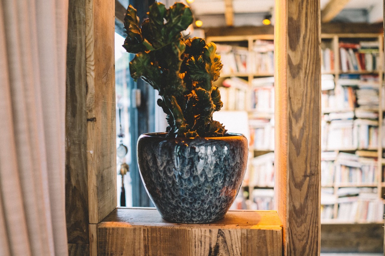 此处留白,此处故意留白