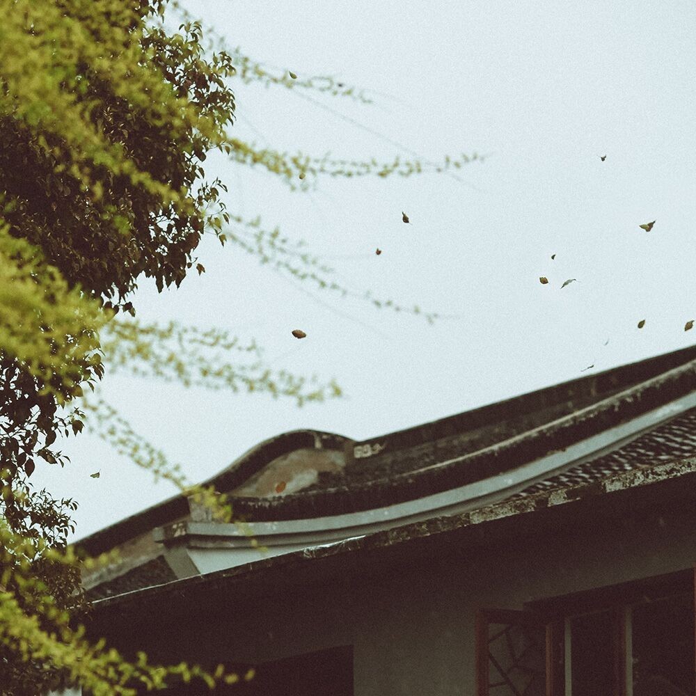 此处留白,此处故意留白