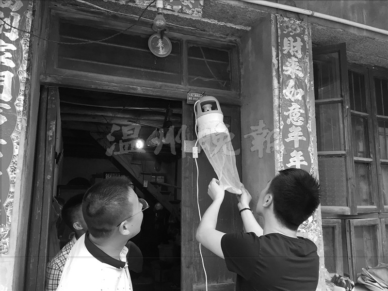 温州几月有蚊子,温州为什么一年四季有蚊子