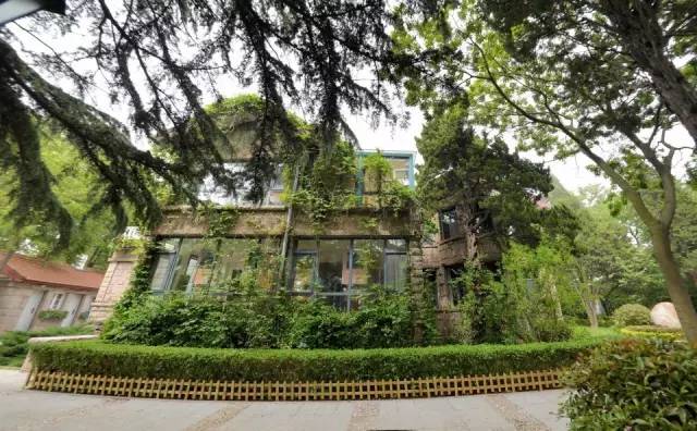 八大关里竟藏着这么多经典别墅!,全攻略