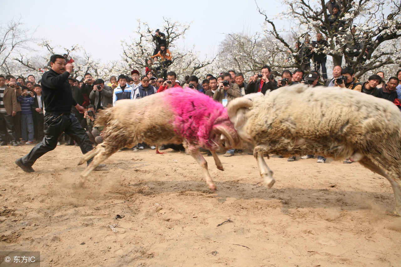 菏泽方言土语大全,山东菏泽话方言