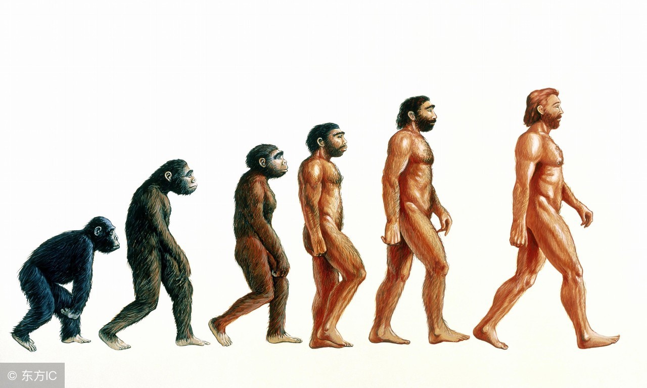 伽利略怎么发现两个铁球,伽利略铁球落地受到的启发