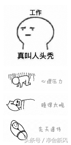 甲醛导致的脱发会长出来吗,你的脱发是怎么好的