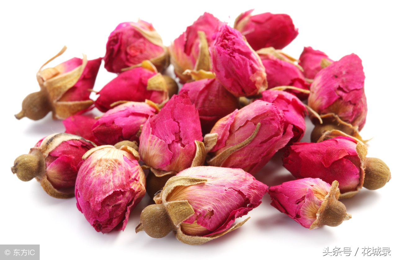 蔷薇月季和玫瑰的区别,月季跟蔷薇跟玫瑰有什么区别