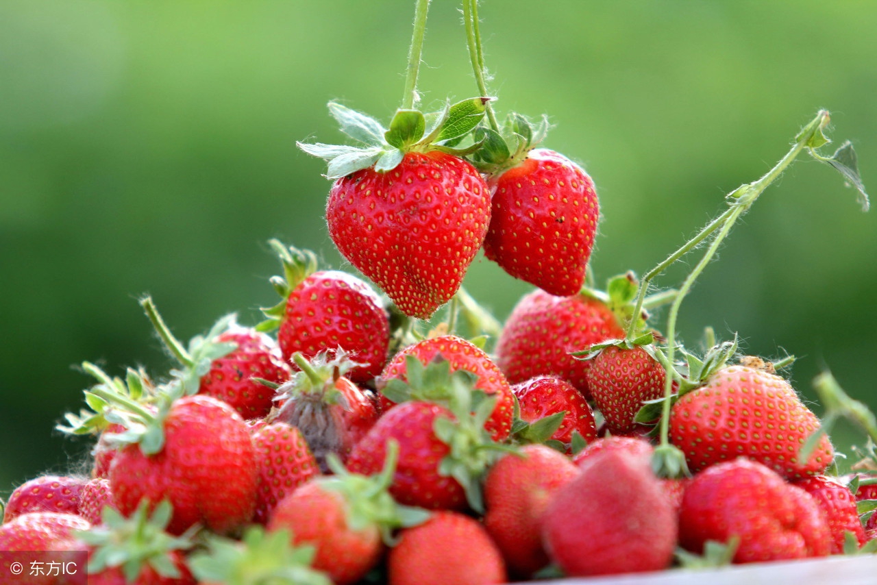 果蔬农药残留到底怎么清洗,果蔬残留农药怎么洗去啊