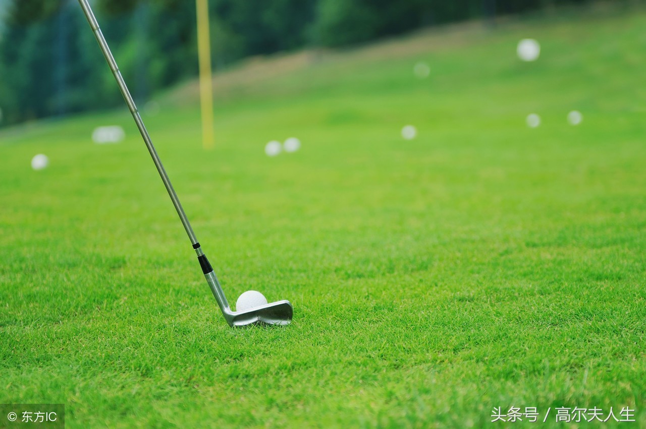 高尔夫术语指击技巧,高尔夫球的正确打法教学