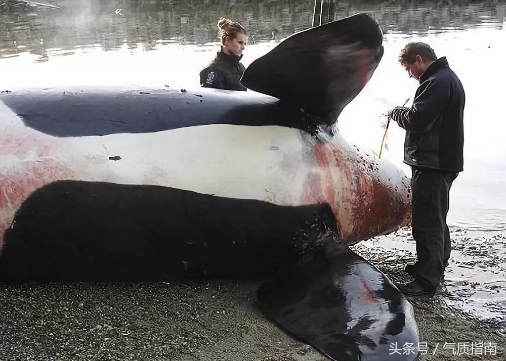 朋友圈里卖低价服装的真相,朋友圈代购真实案例