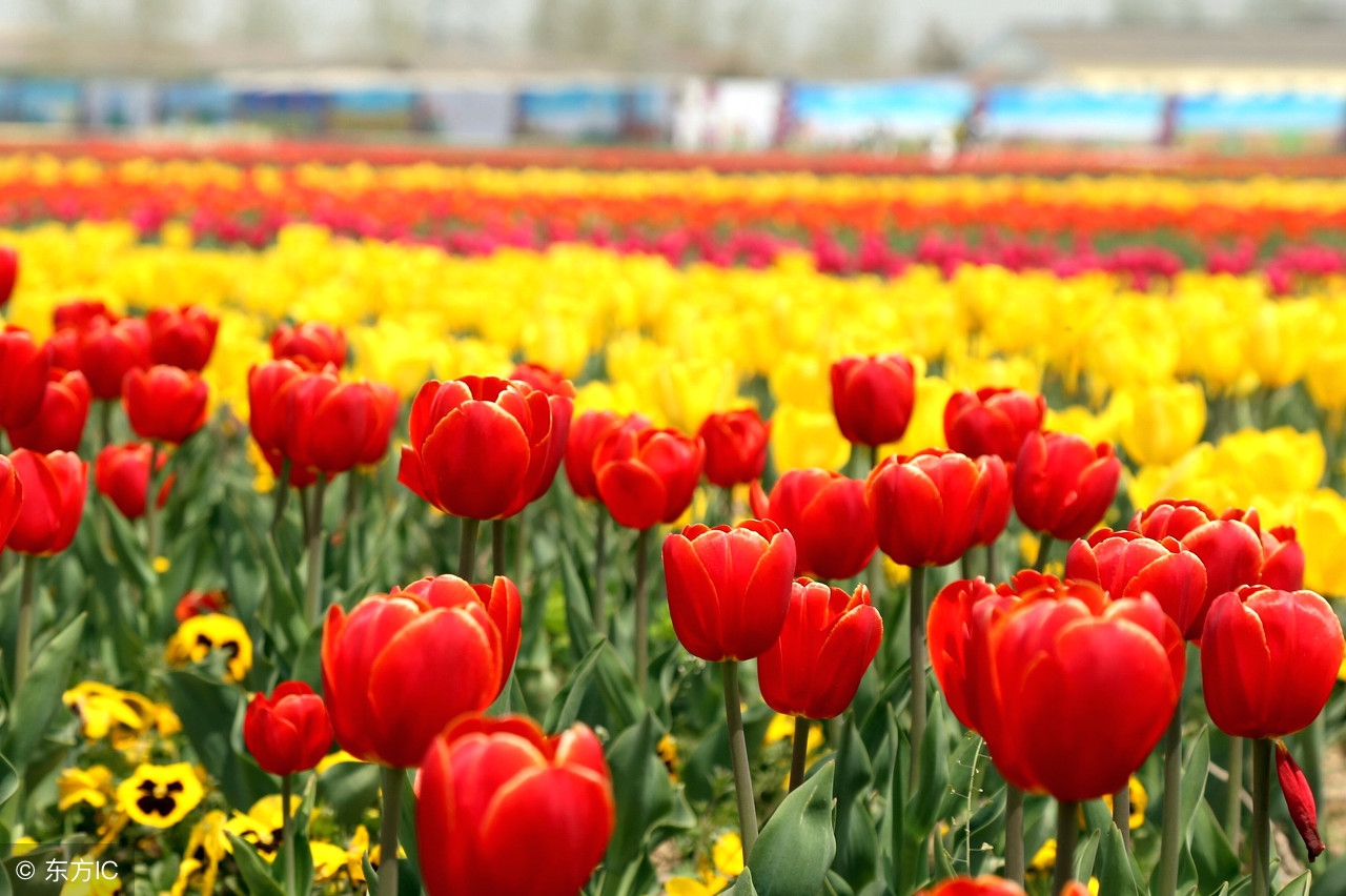 孩子老是打喷嚏流鼻涕怎么回事,小孩老是打喷嚏流鼻涕是怎么回事